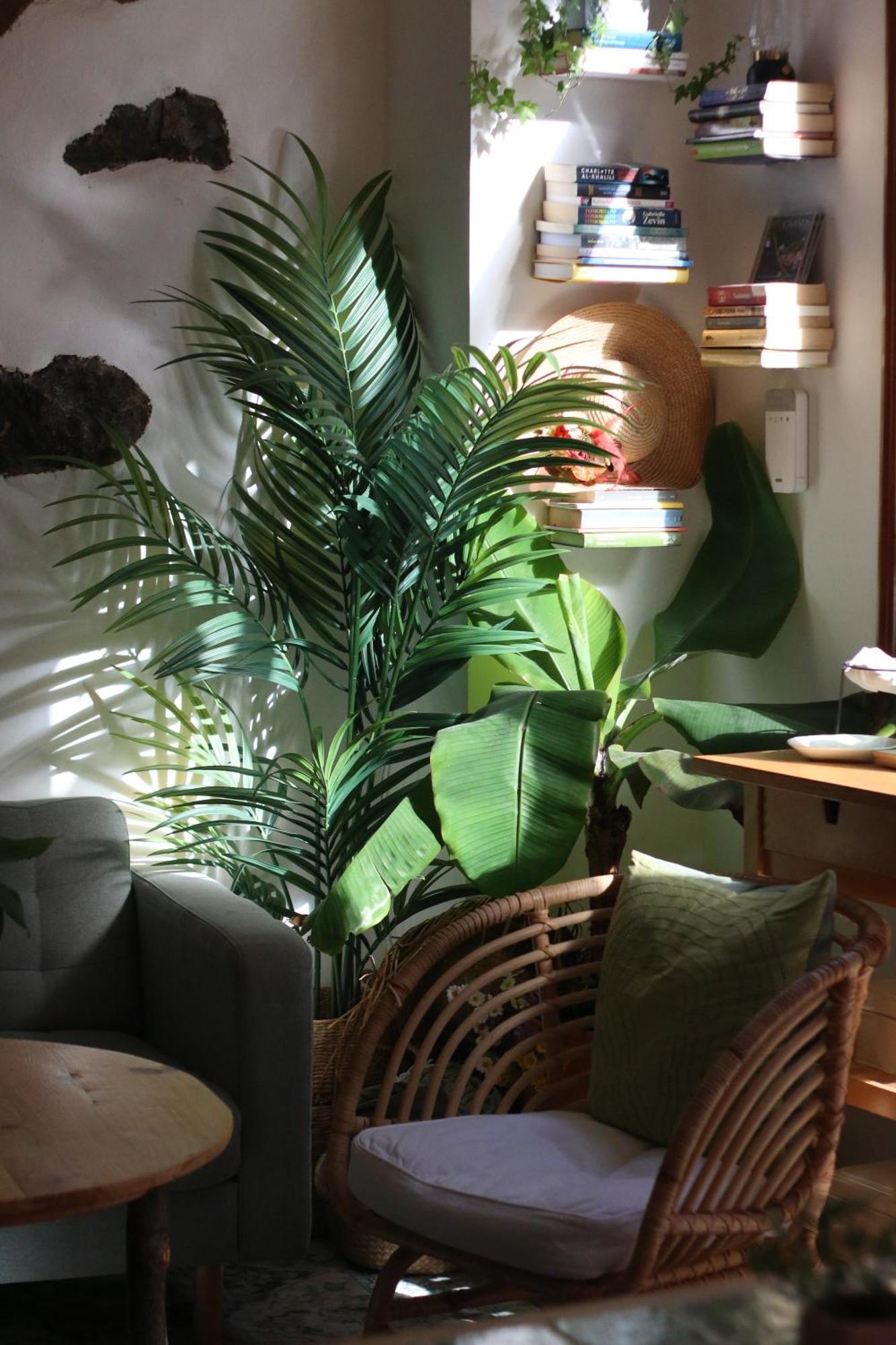 Hotel Banana Garden La Palma Santa Cruz de la Palma  Esterno foto